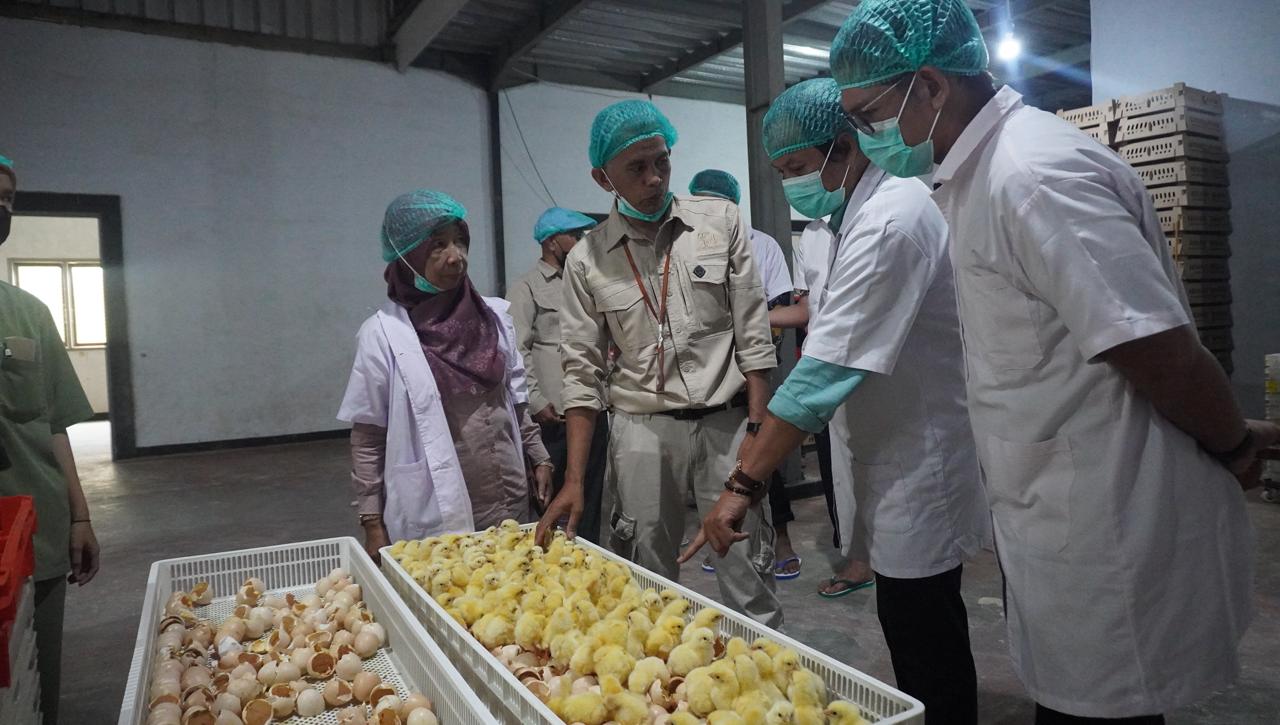 Badan Bahasa Perkuat Literasi dan Sinergi Pendidikan Vokasi–Industri untuk Ketahanan Pangan Nasional