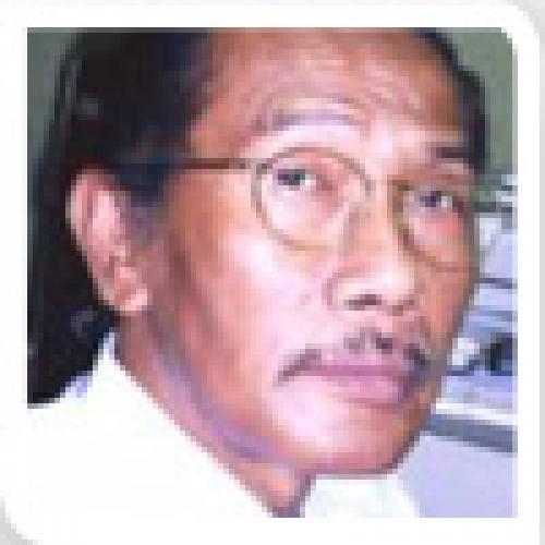 Hasan Alwi